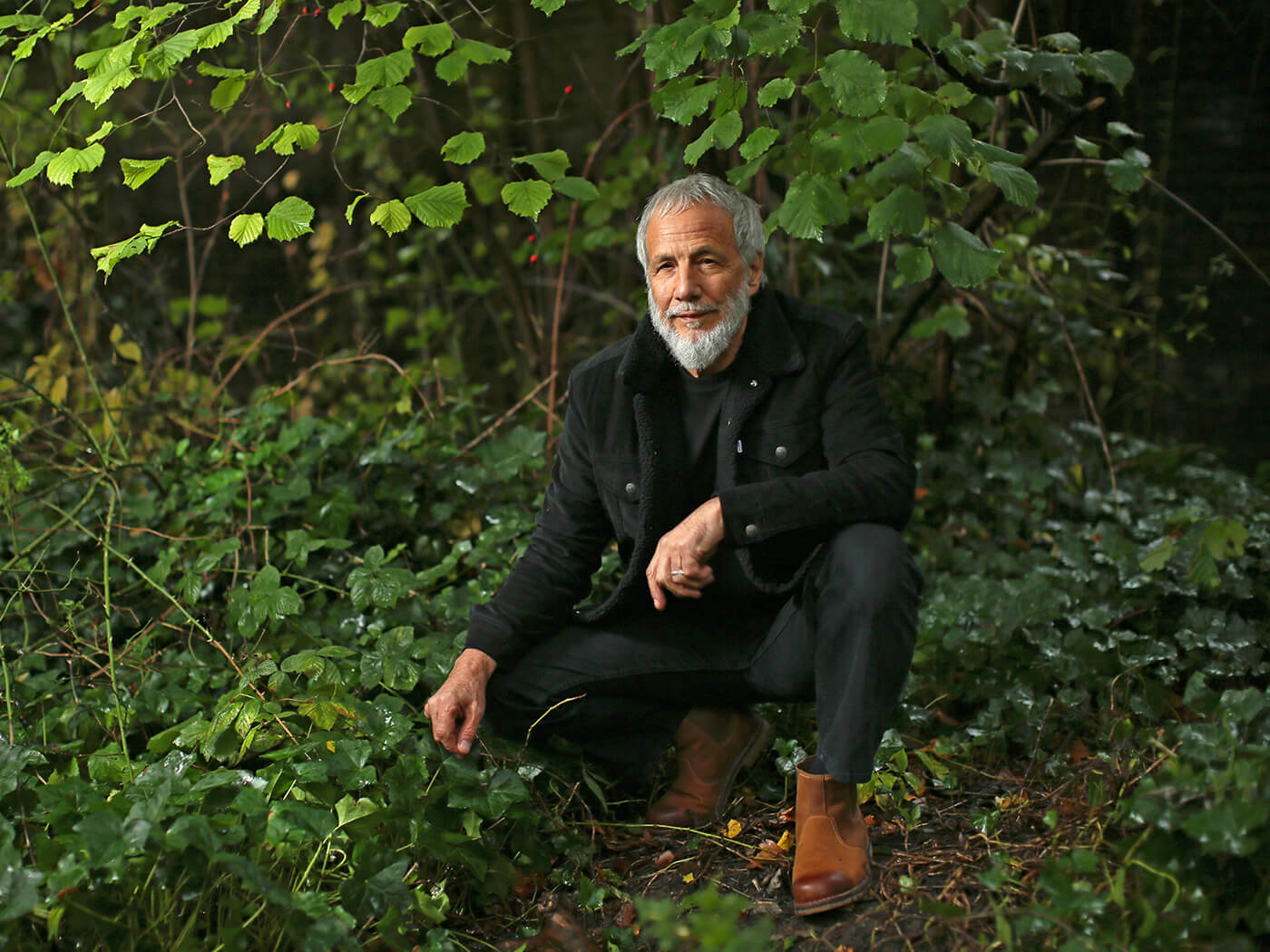 Yusuf / Cat Stevens has re-recorded Tea For The Tillerman